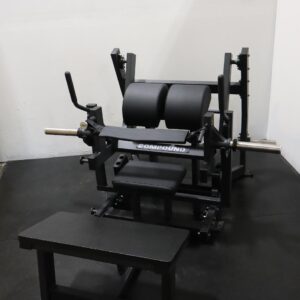 Flow Fitness Glute Drive Model 2